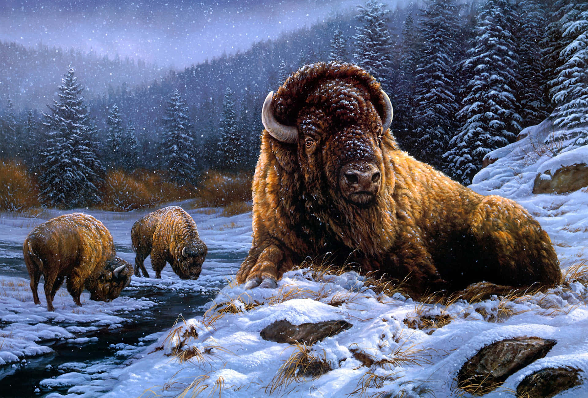 Winter_ Bison_ Herd_ Snowfall