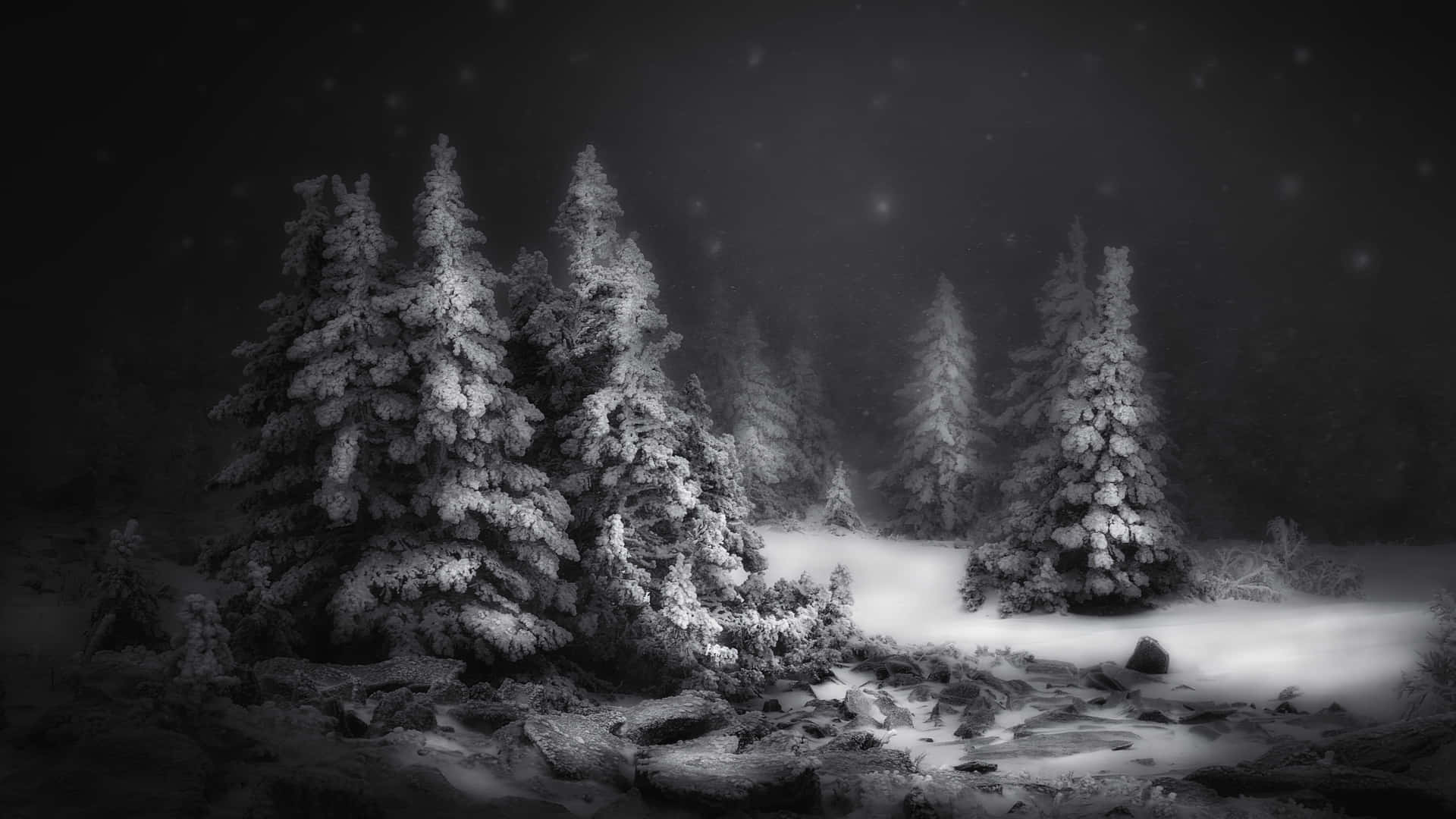 Winter Black Forest Laptop Background