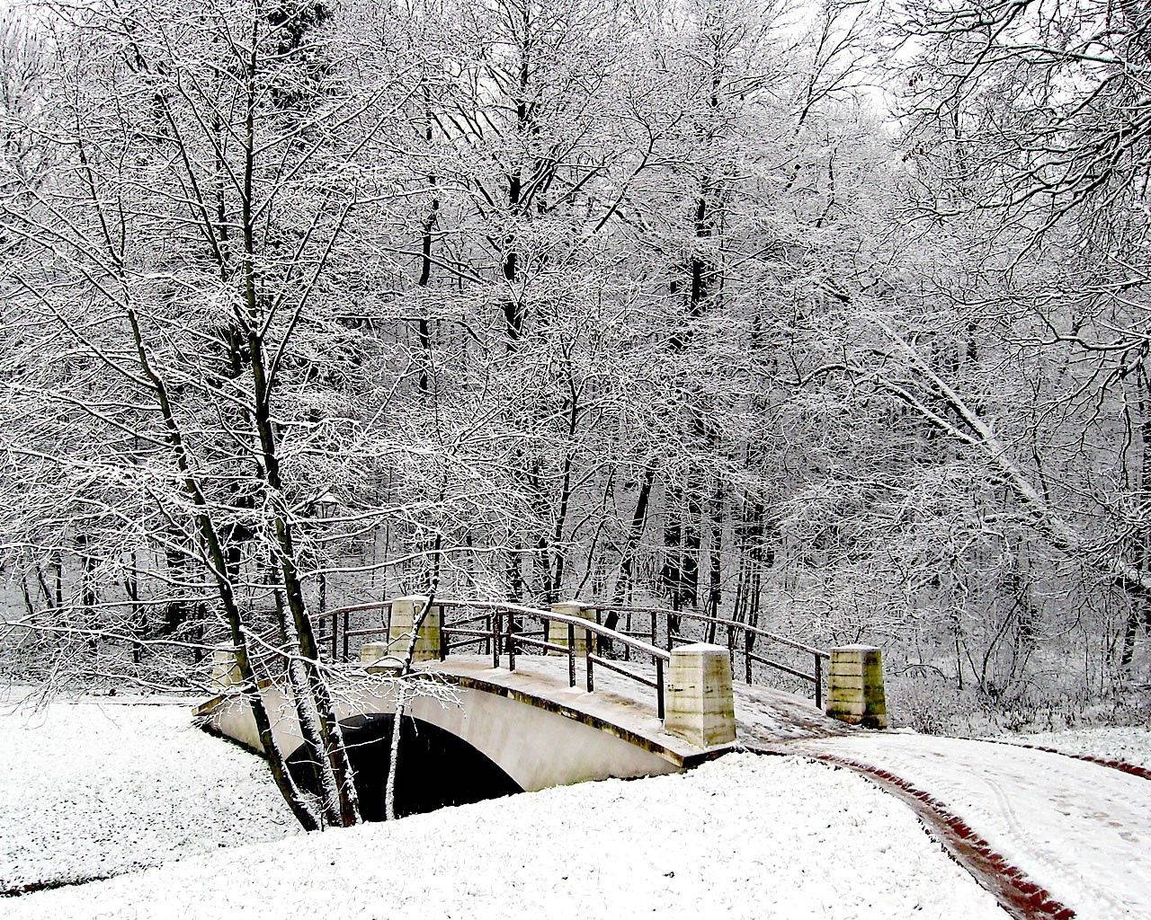 Winter Bridge Park Background