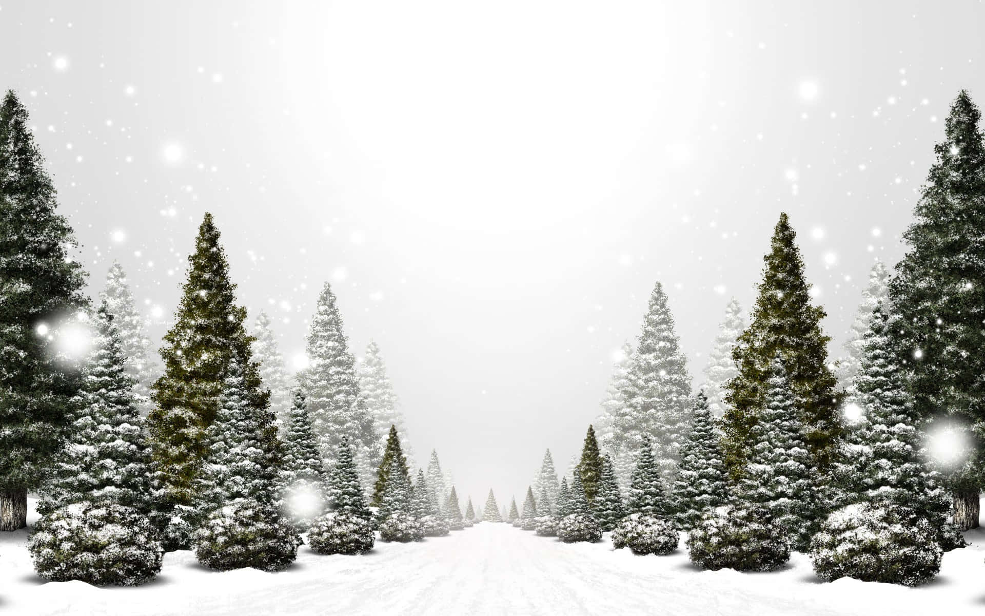 Winter Christmas Black White Desktop Background