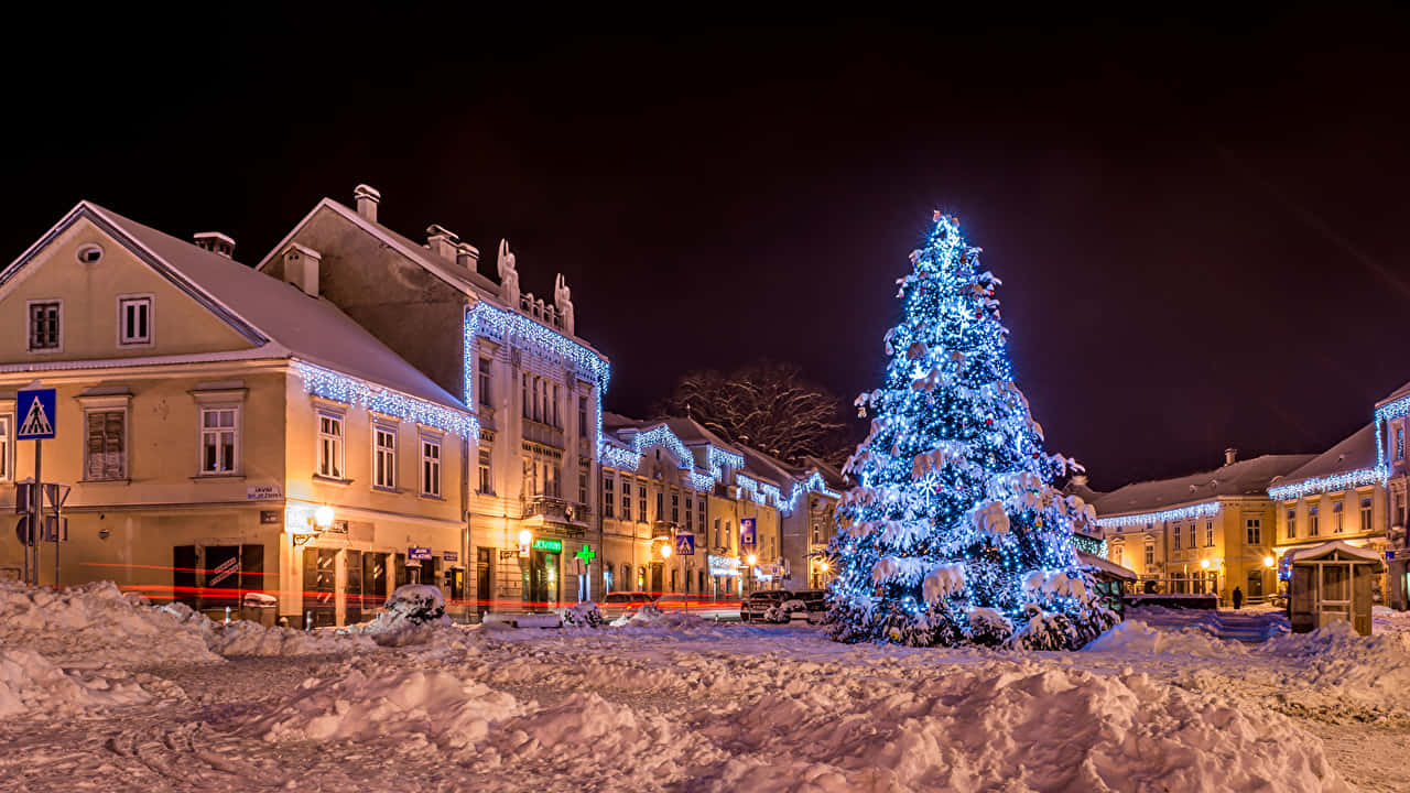 Winter Christmas Blue Lights Desktop Background