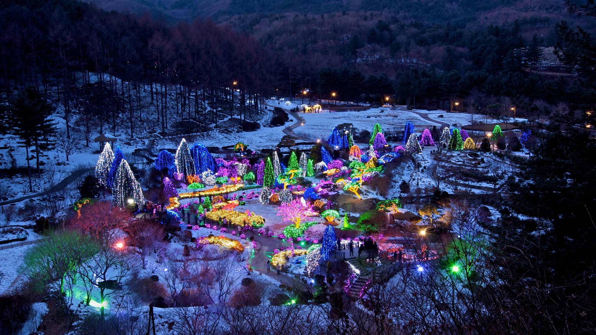Winter Christmas Colorful Park