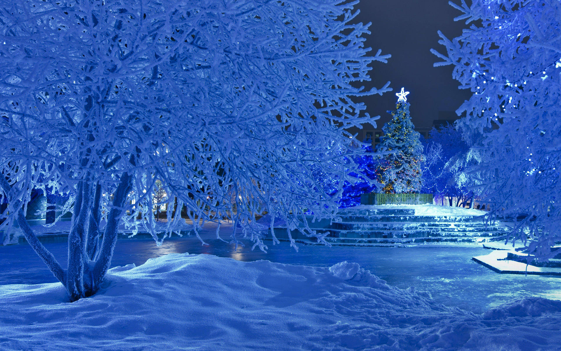 Winter Christmas Icy Snow Background