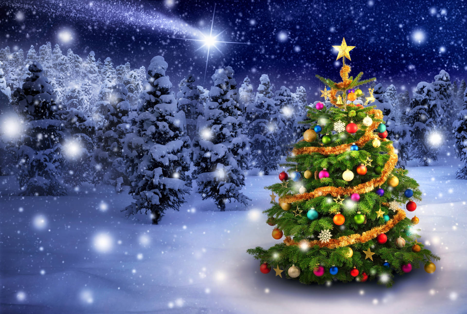 Winter Christmas Tree And Shooting Star Background