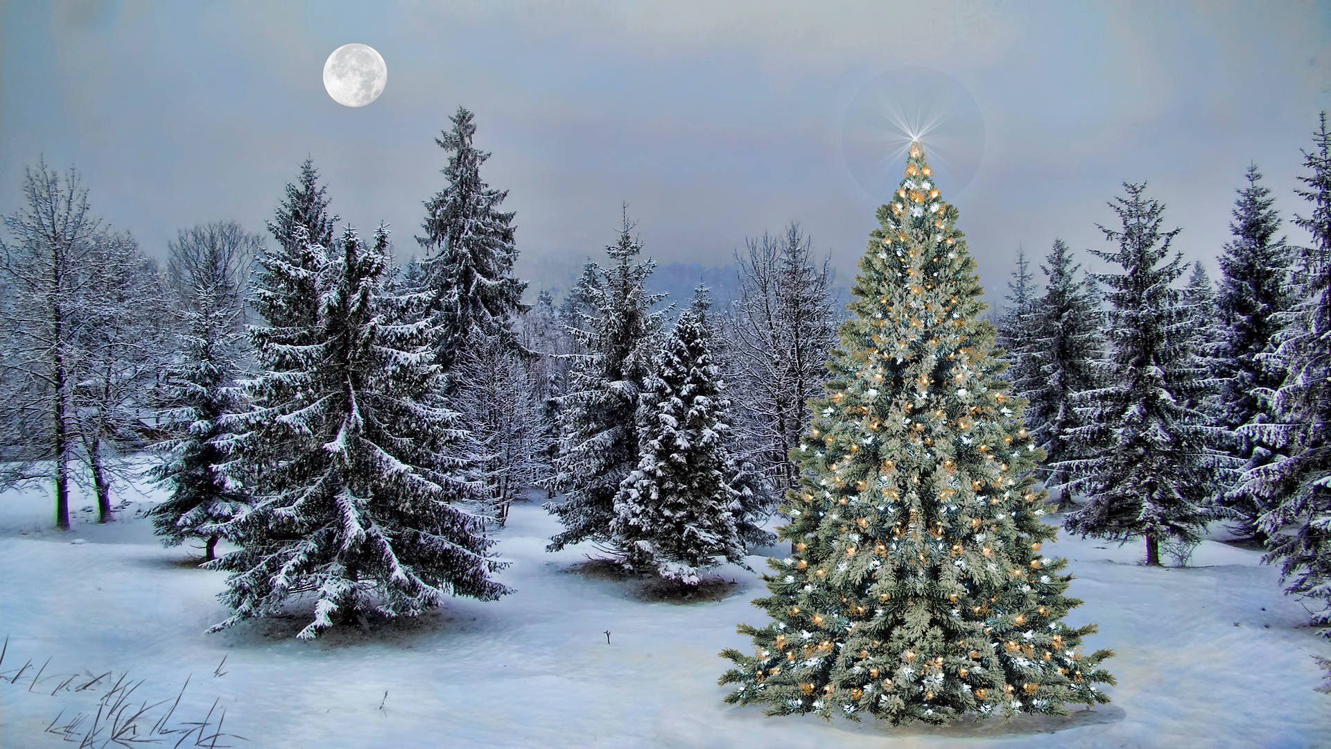 Winter Christmas Tree Under The Moon Background