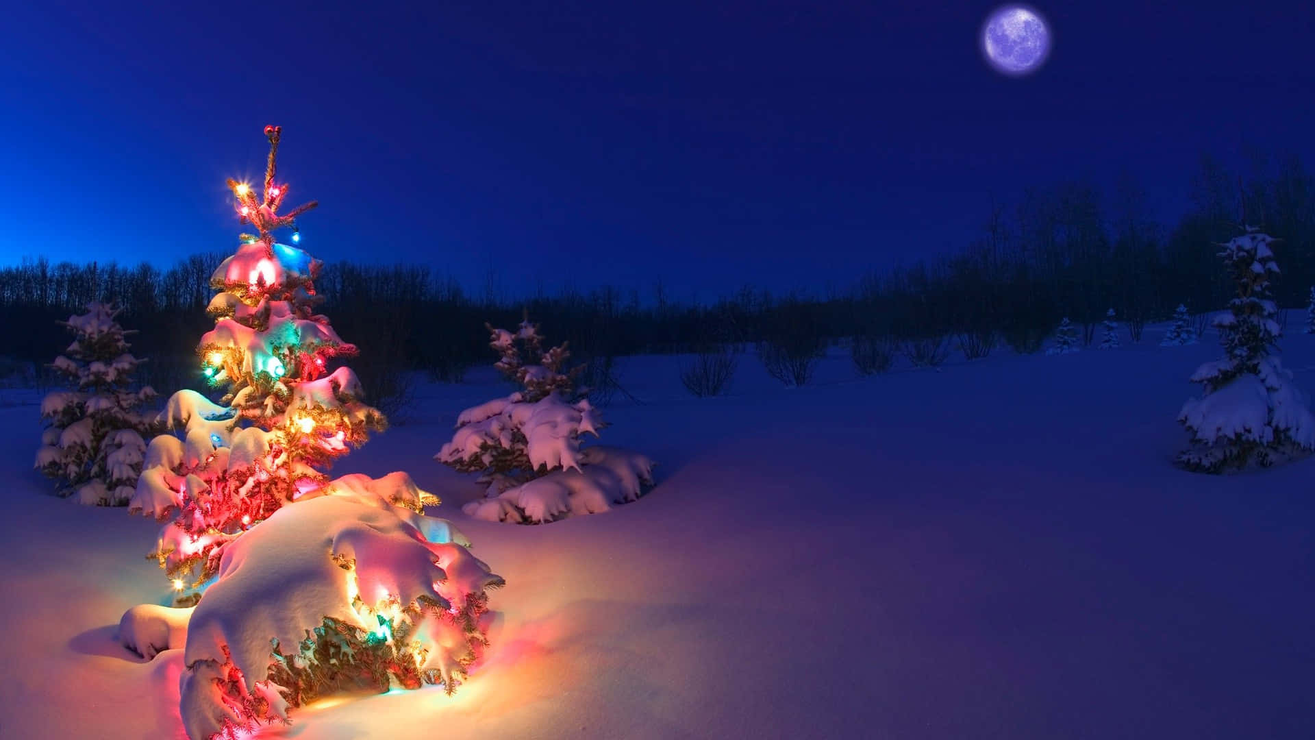 Winter Colorful Christmas Tree Desktop Background