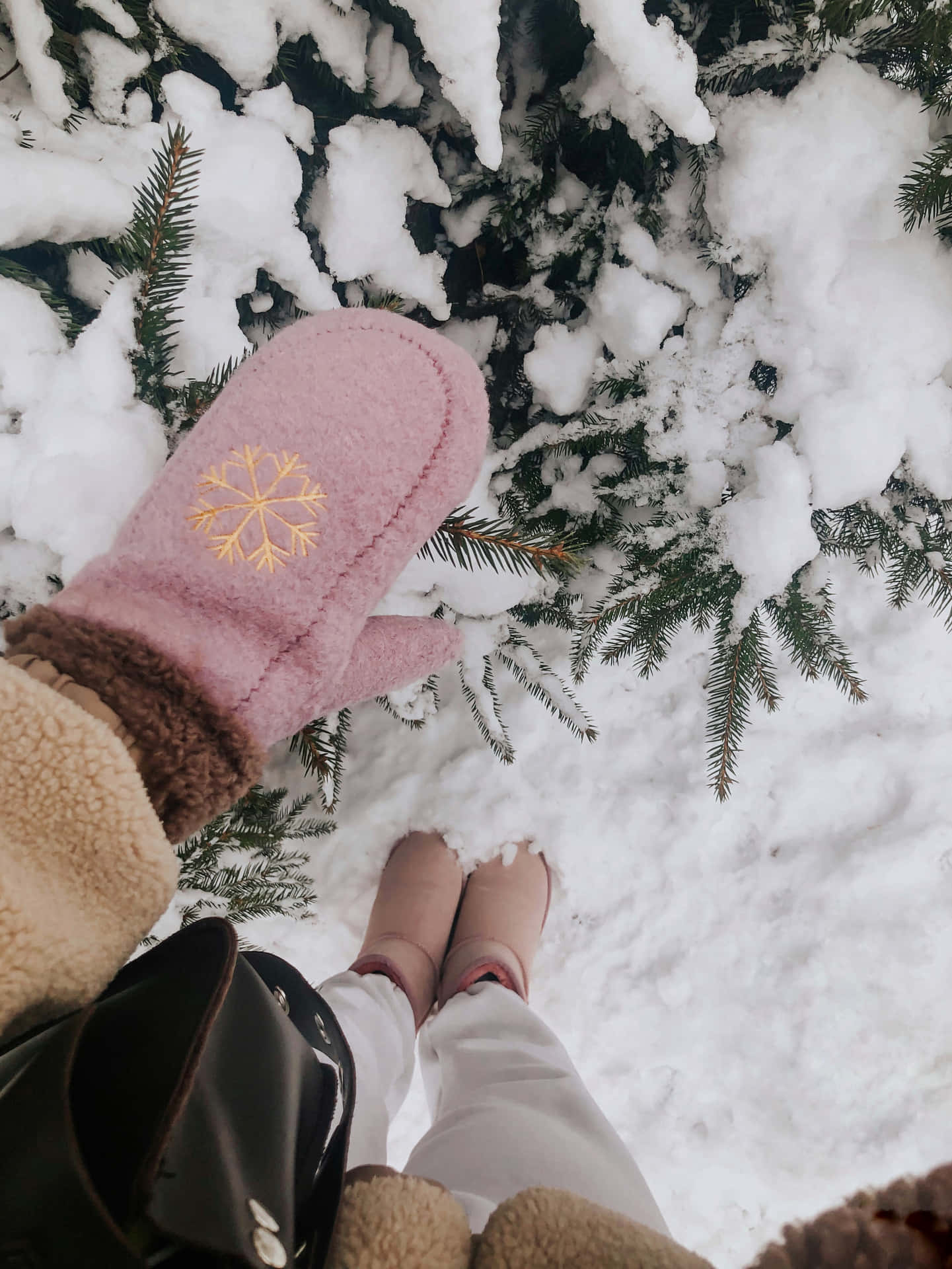 Winter Gloves Cozy Winter Aesthetic Photography Background