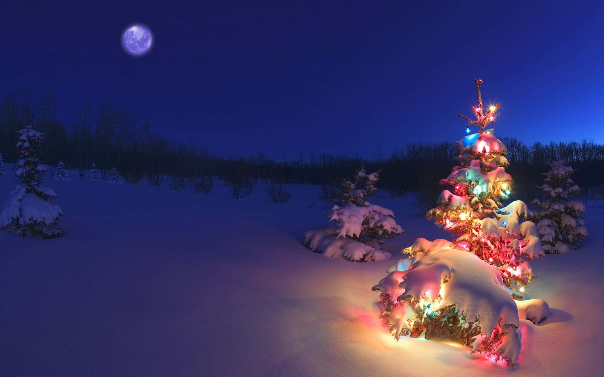 Winter Holiday Desktop With Colorful Christmas Tree Background