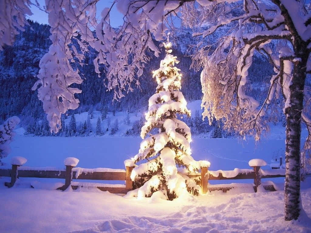 Winter Holiday Desktop With Large Christmas Tree Background