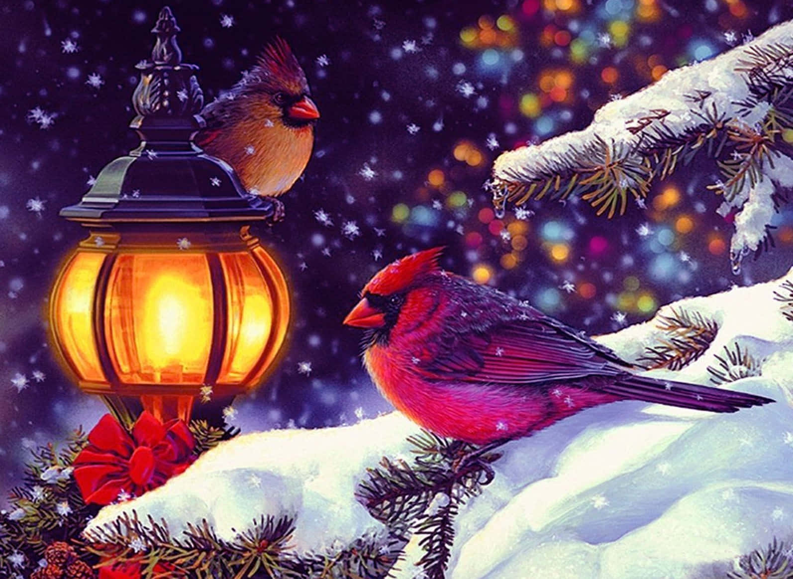Winter Holiday Desktop With Two Cardinal Birds Background