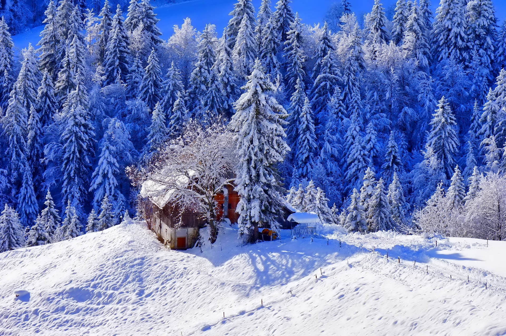 Winter House On Snow Background