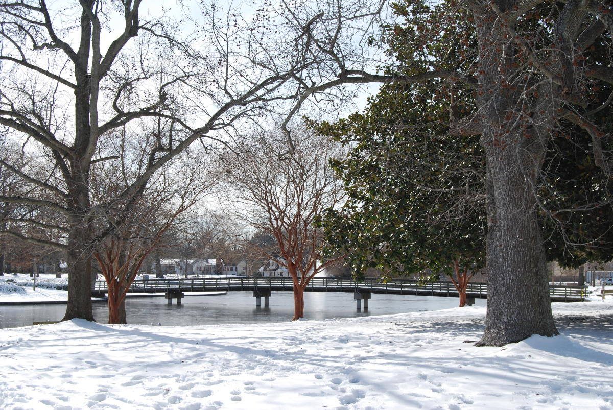 Winter In Chesapeake Background