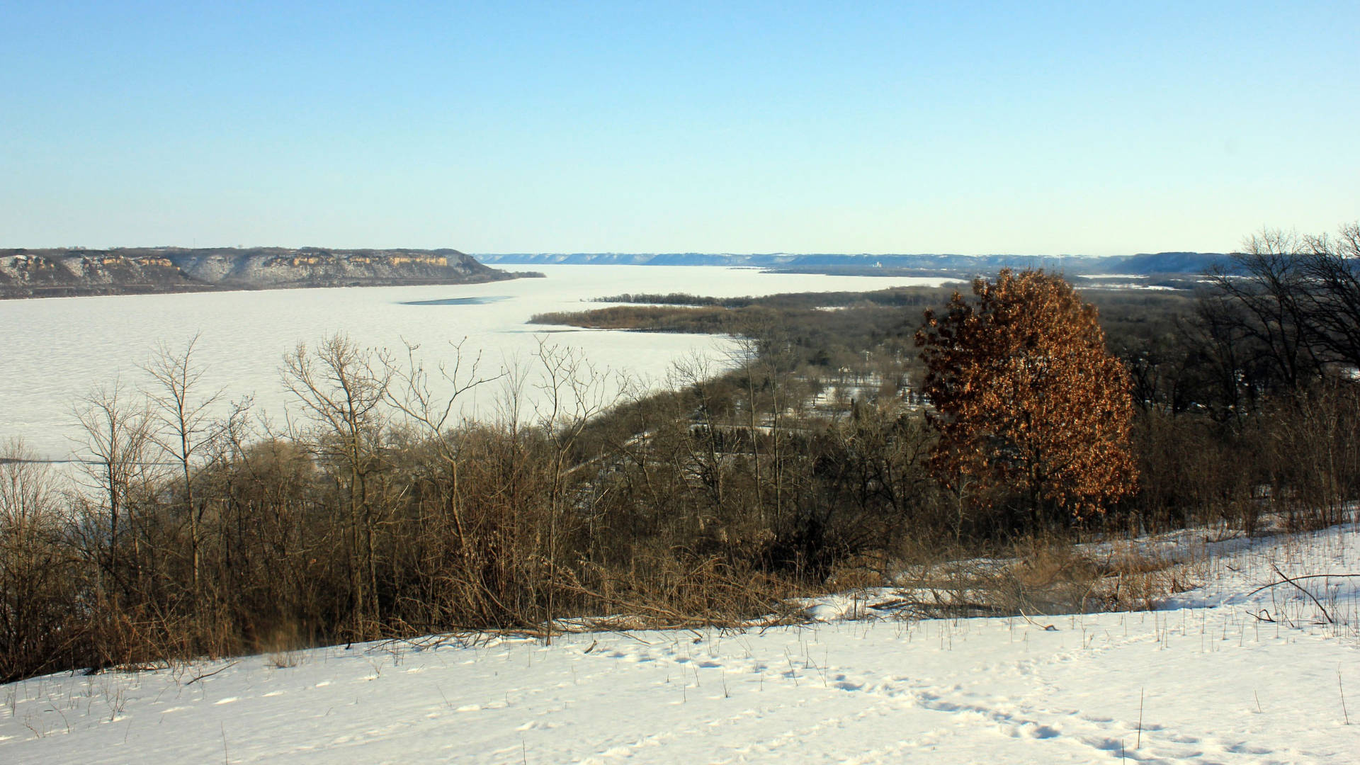 Winter In Mississippi Background