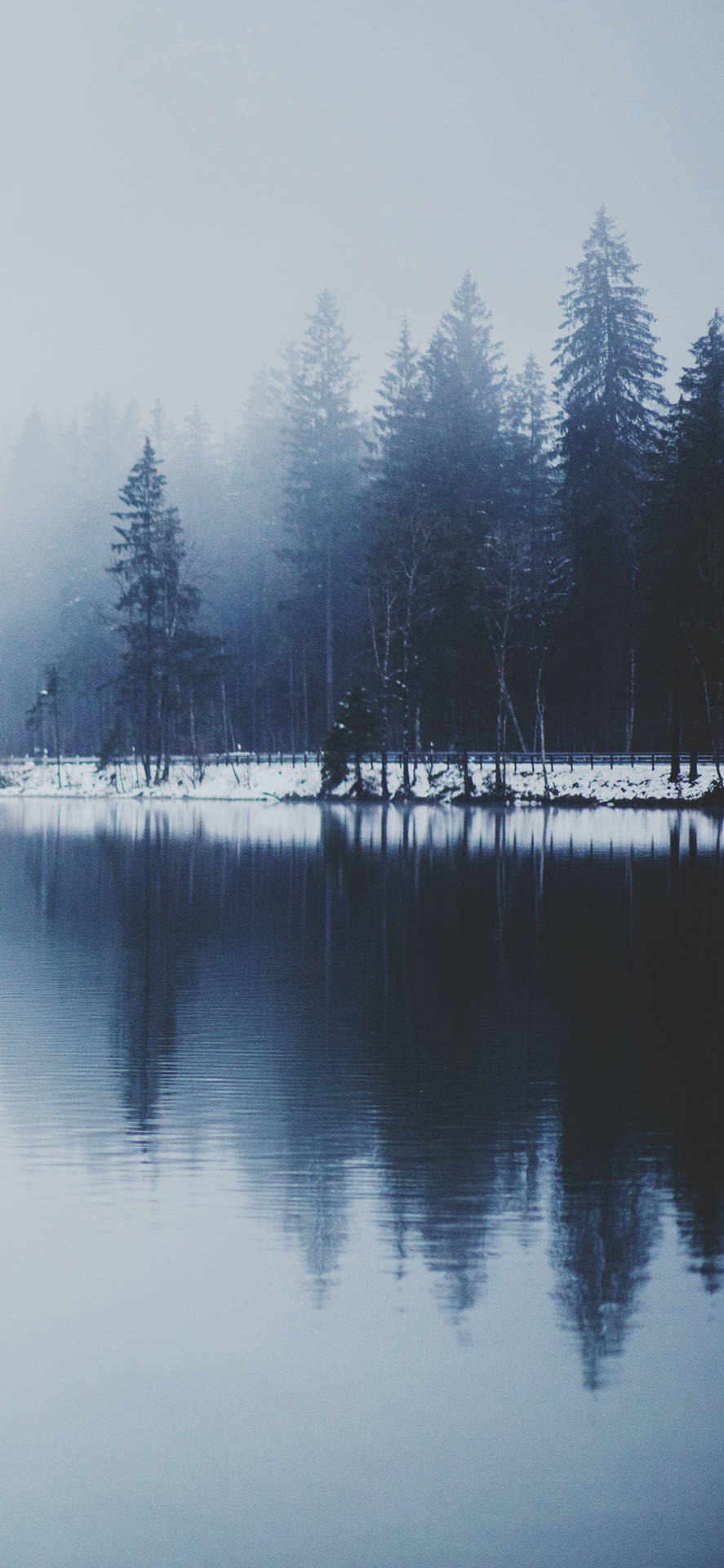Winter Iphone Misty Lake Background