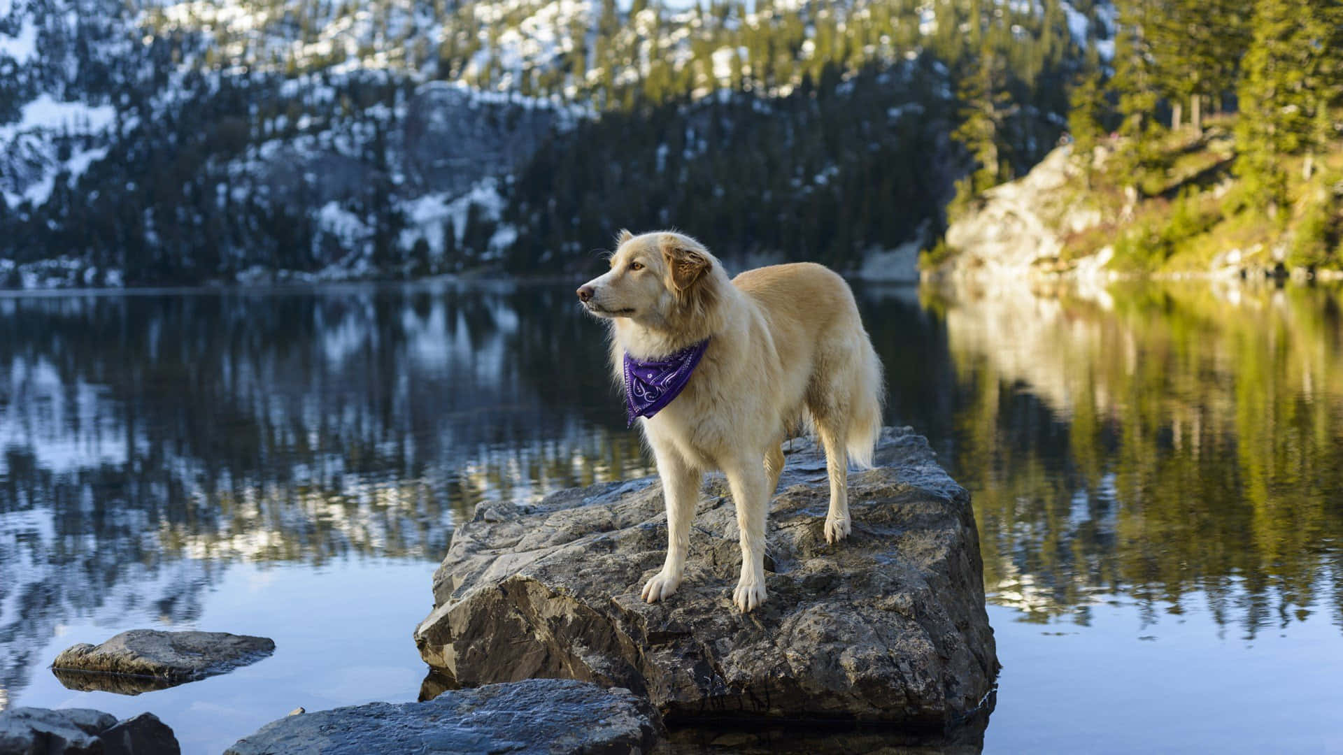 Winter Is Coming! Background