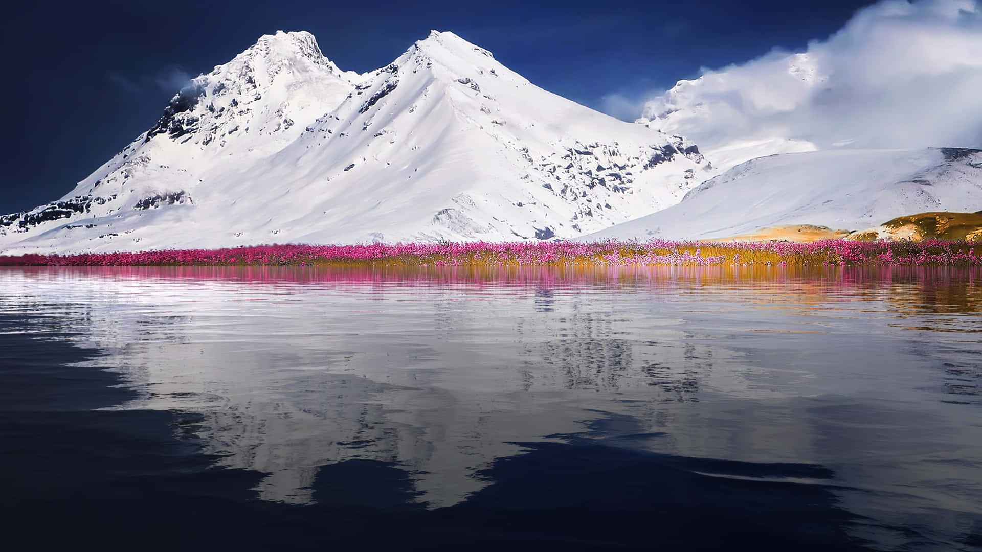 Winter_ Mountain_ Peak_with_ Pink_ Flowers_4 K Background