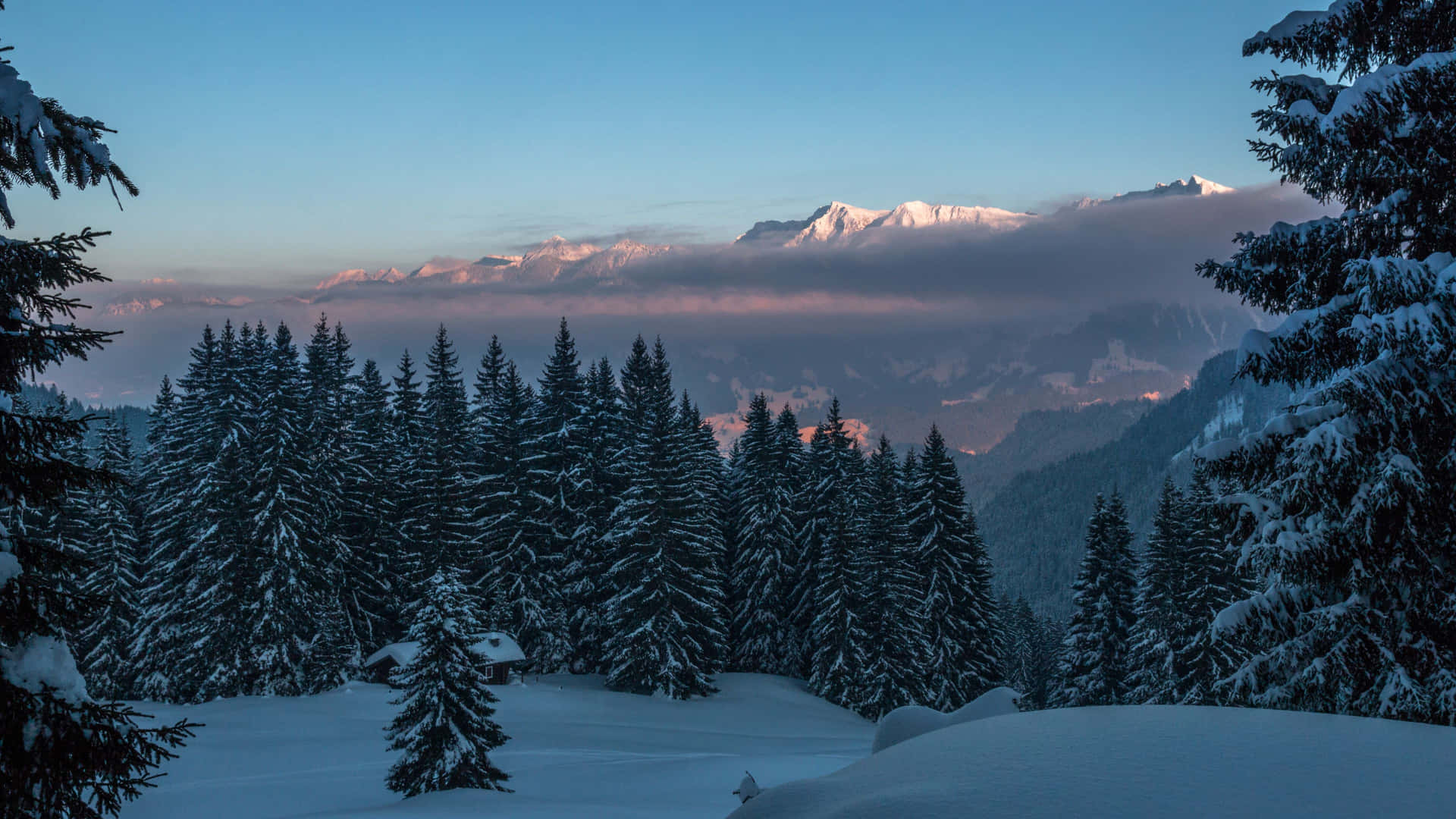 Winter_ Mountain_ Sunrise_ Forest_4 K Background