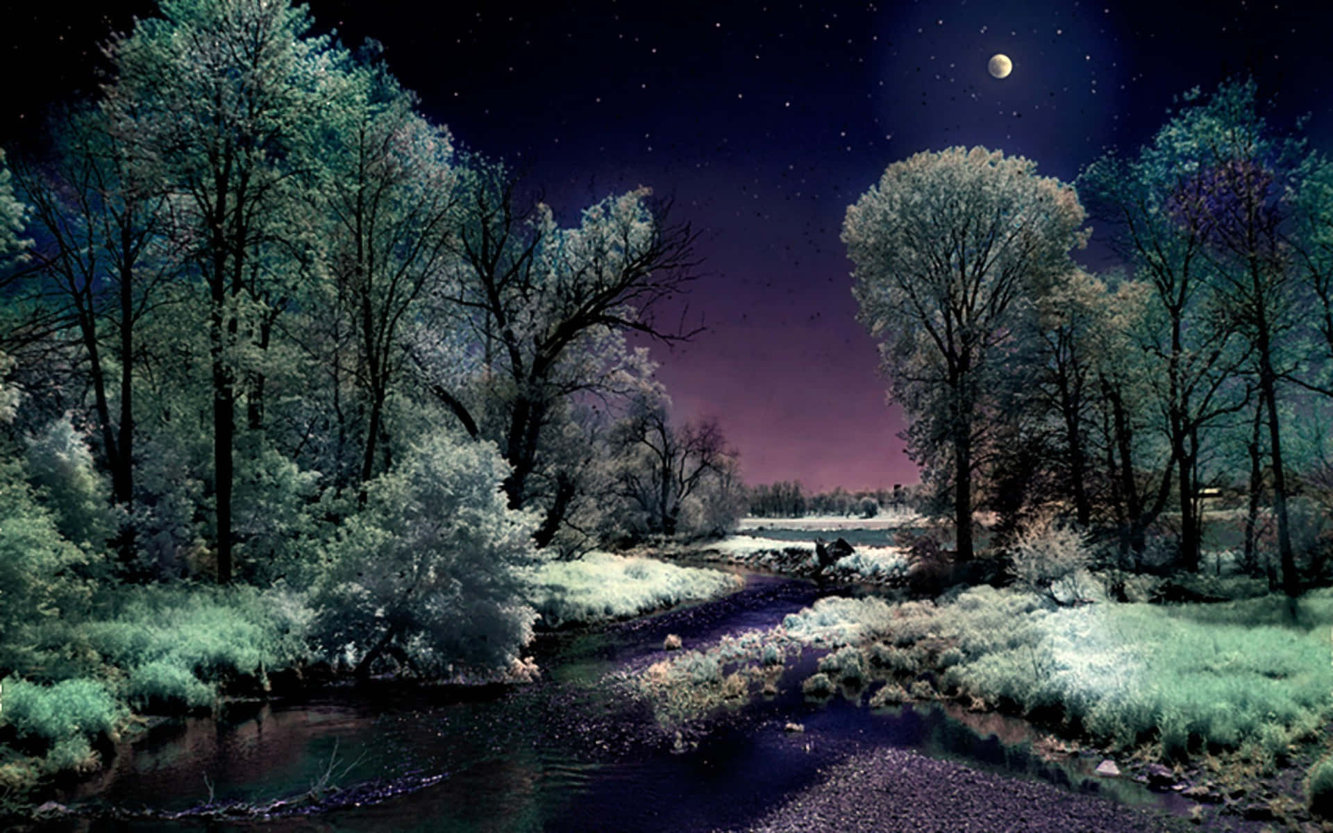 Winter Night Desktop With The Moon Shining