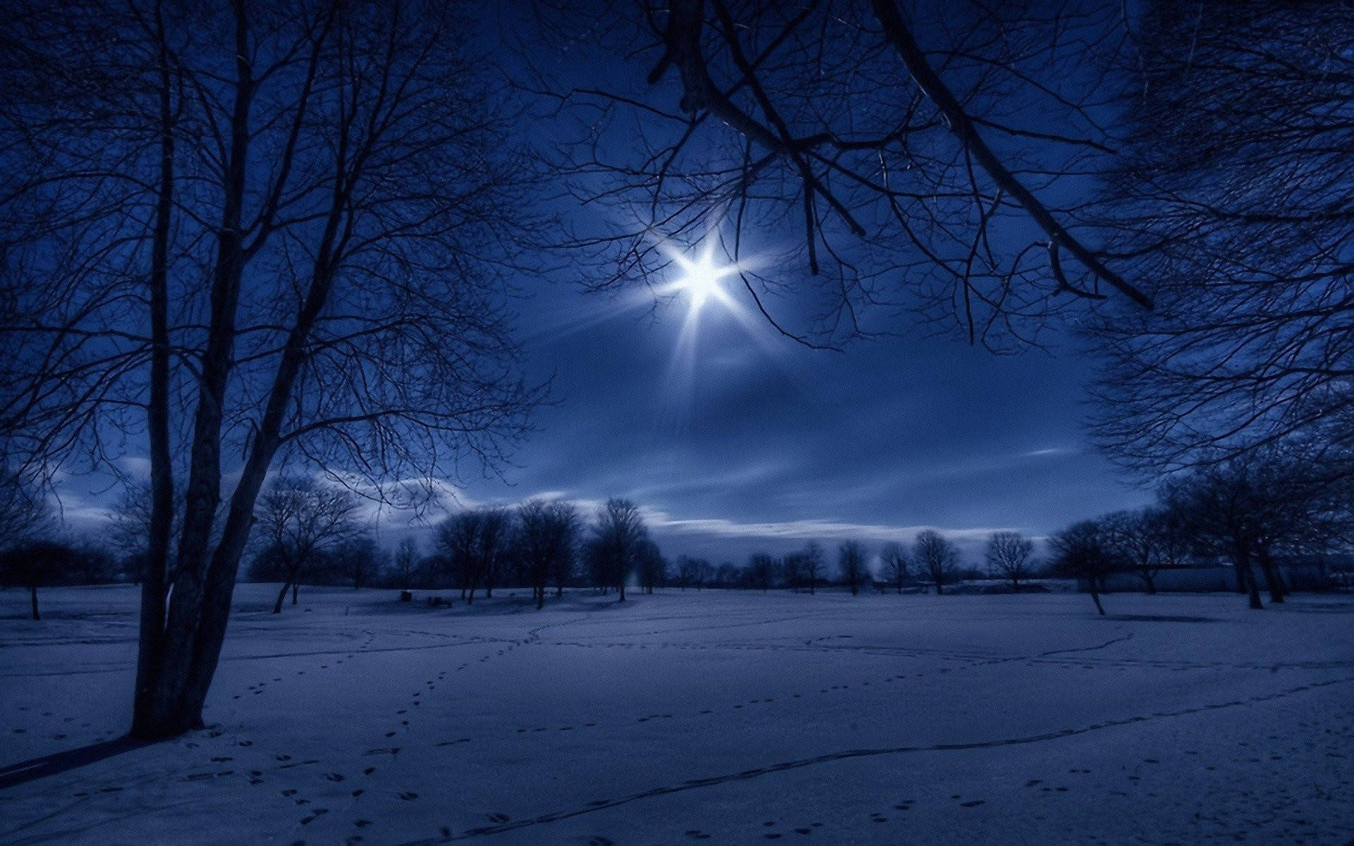 Winter Night In Moonlight Landscape Background