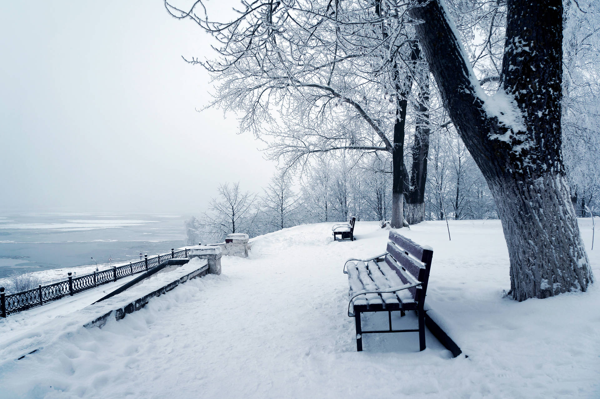 Winter Park Benches Background