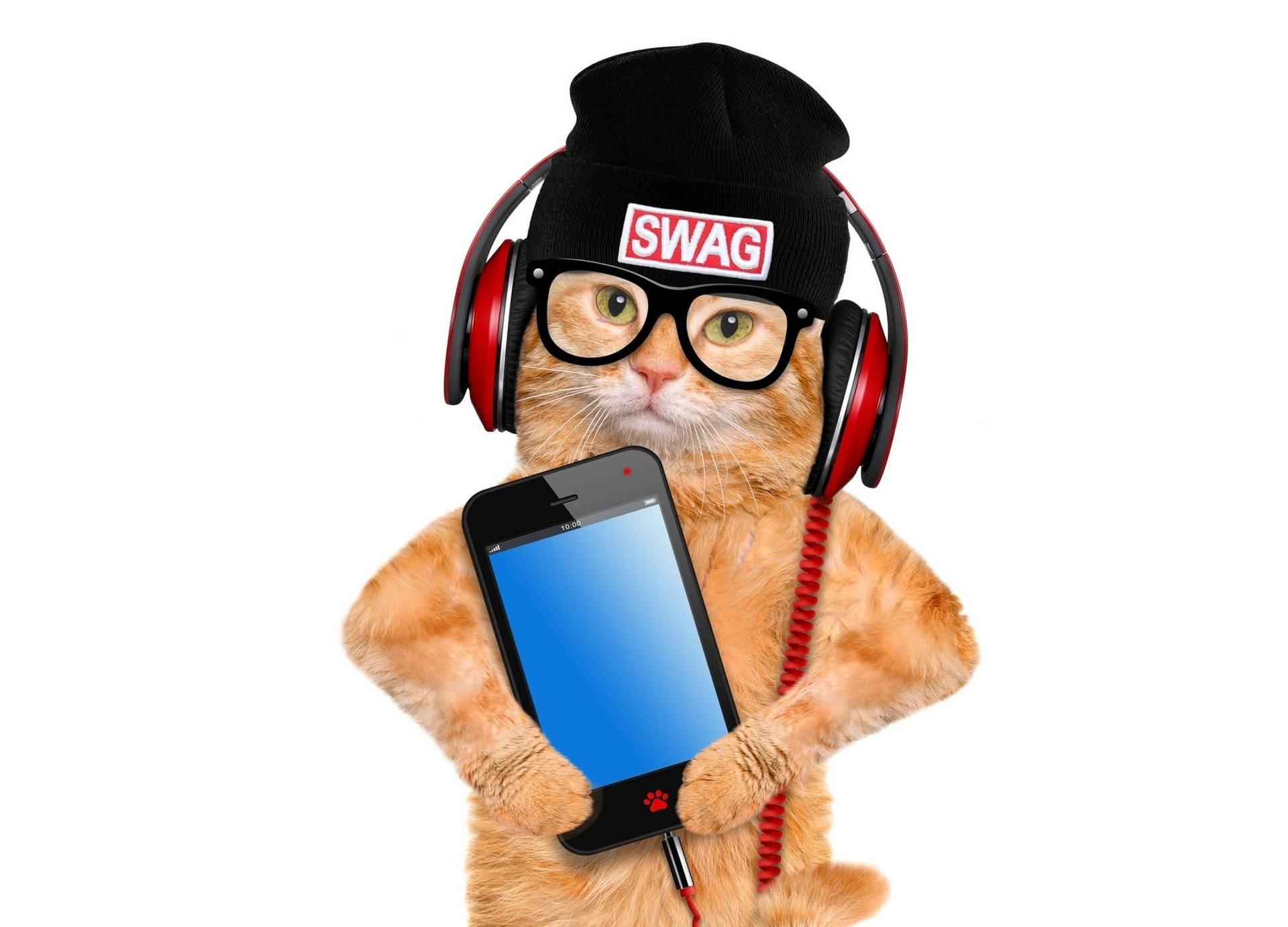 Winter Phone Cat Swag Background