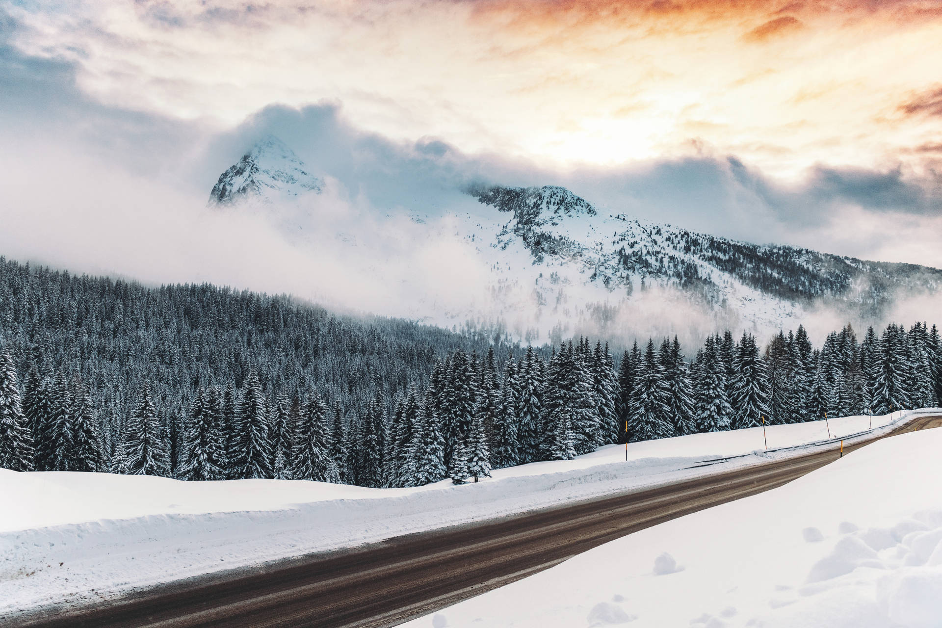 Winter Roadside View Background