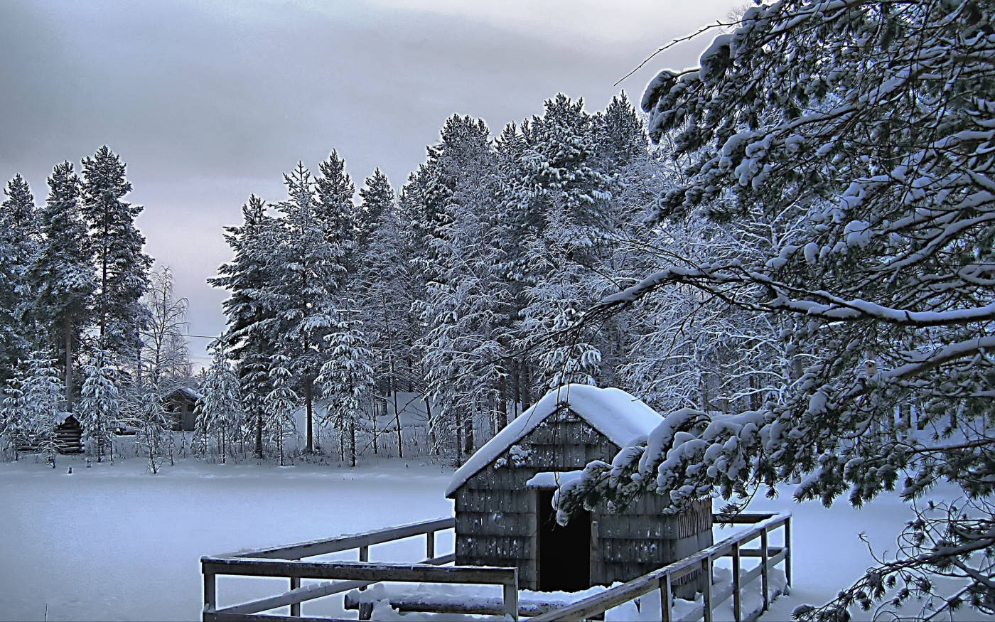 Winter Scene Cabin Background