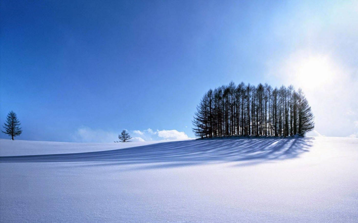 Winter Scene Clean Background