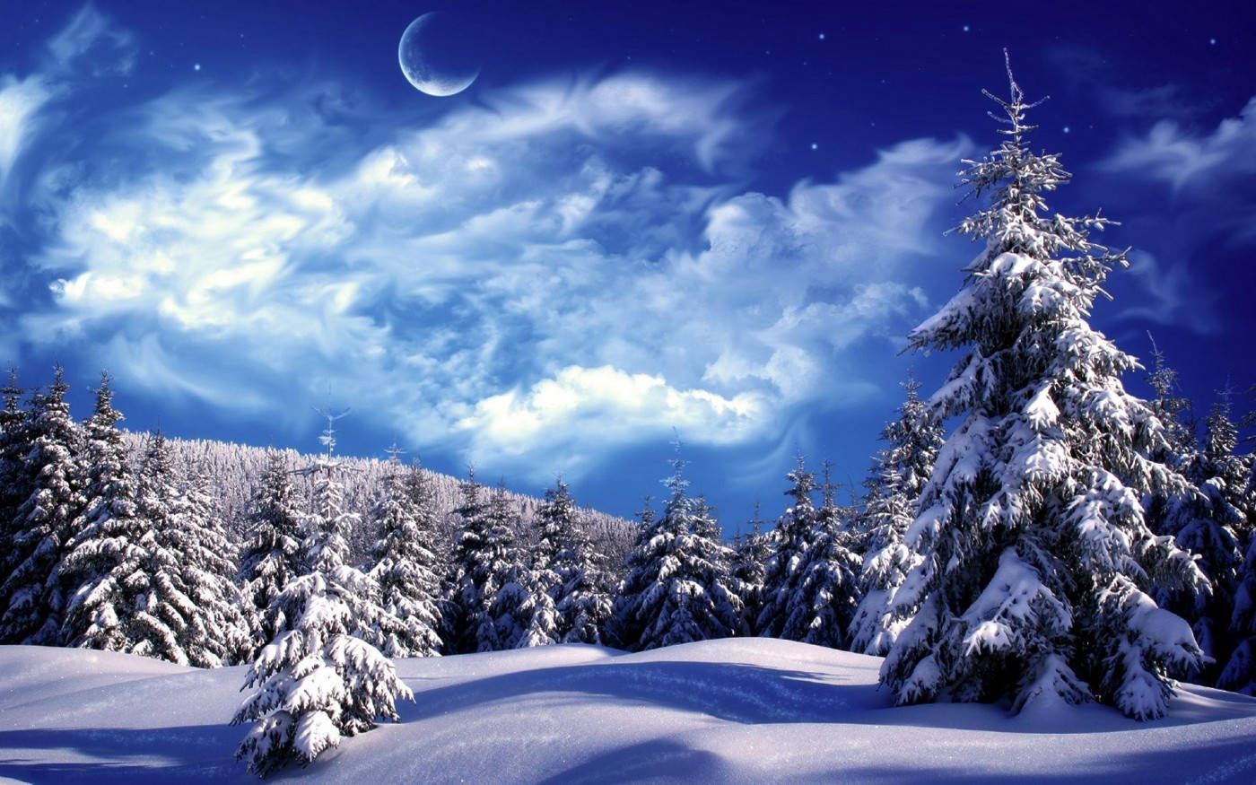 Winter Scene Cloudy Sky Background