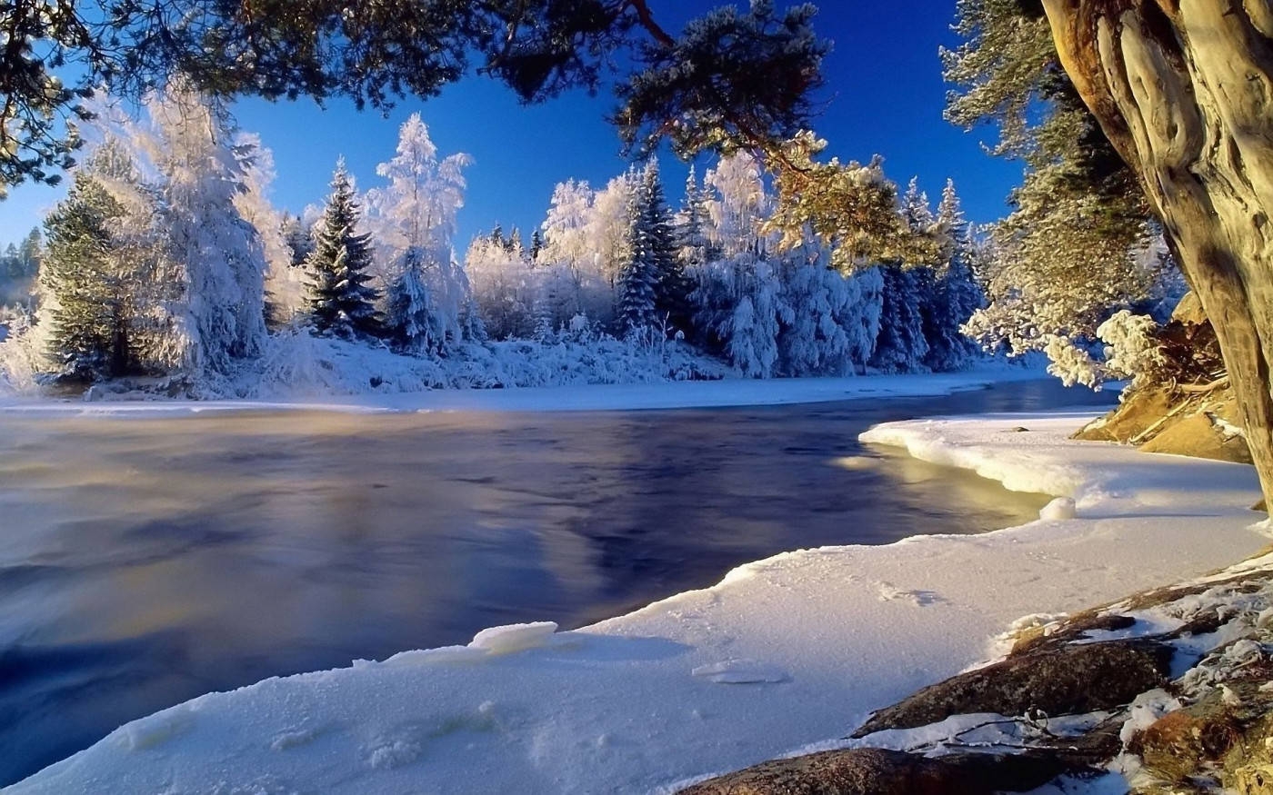 Winter Scene Frozen Landscape Background