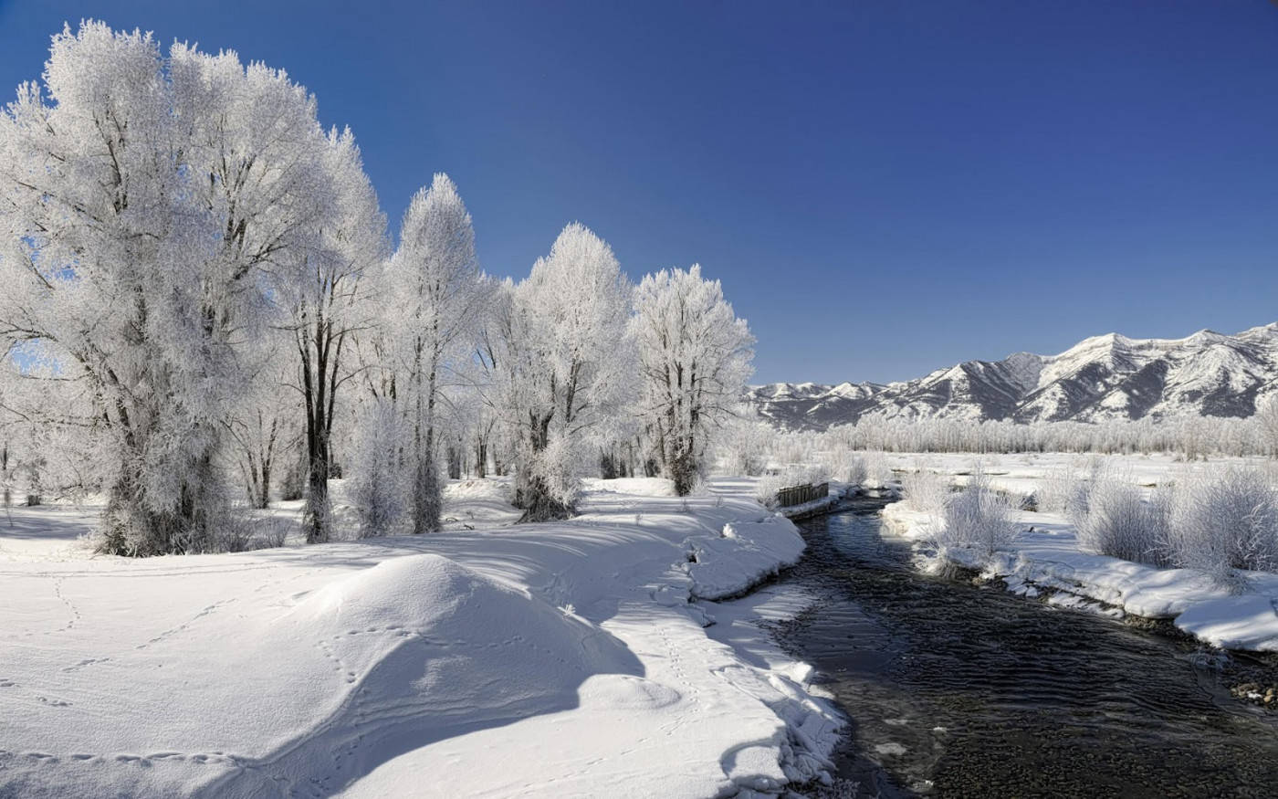 Winter Scene Frozen Nature Background