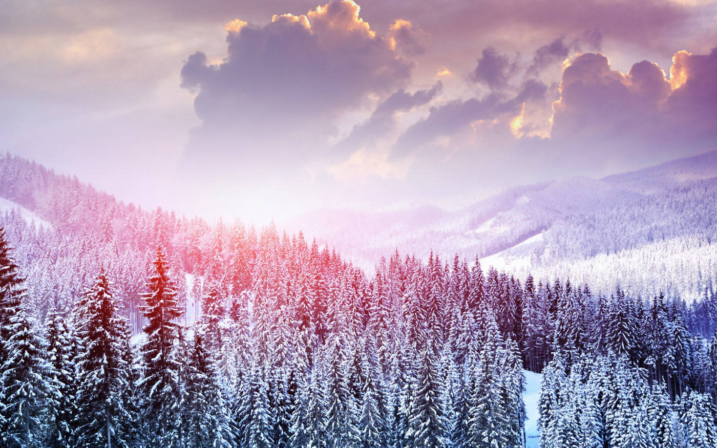 Winter Scene Purple Hue Background