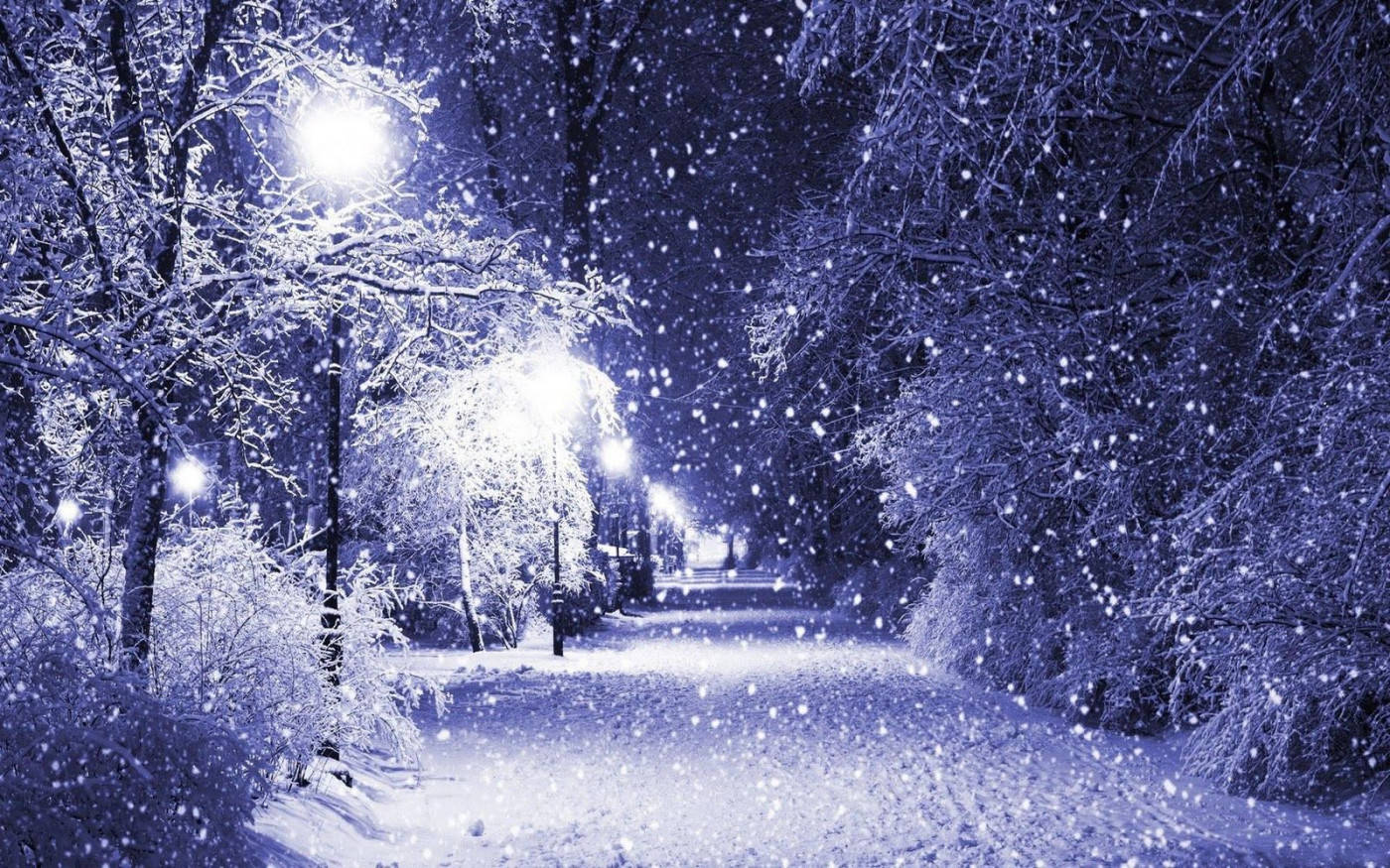 Winter Scene Snowing Background