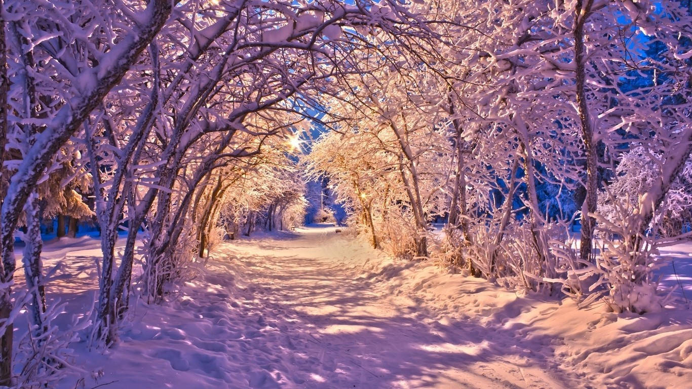 Winter Scene Tunnel Background