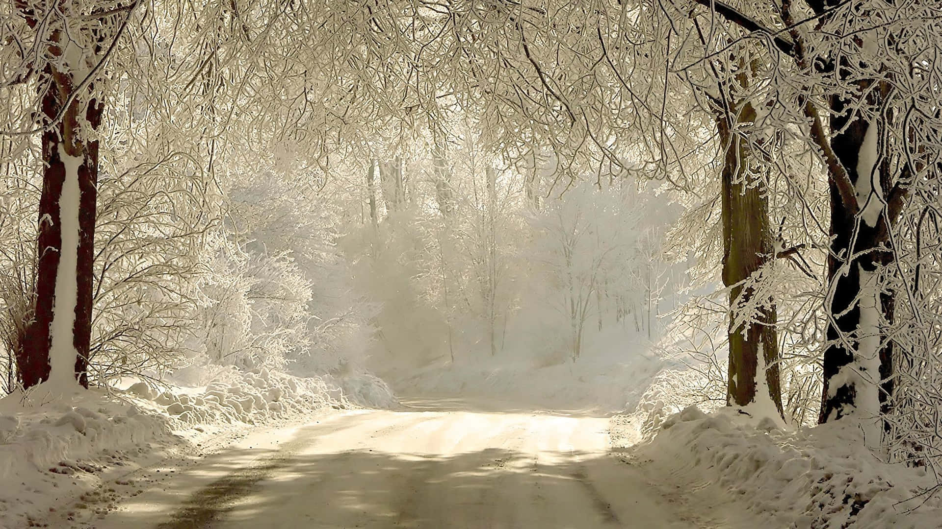 Winter Scenery Of The Alps Background