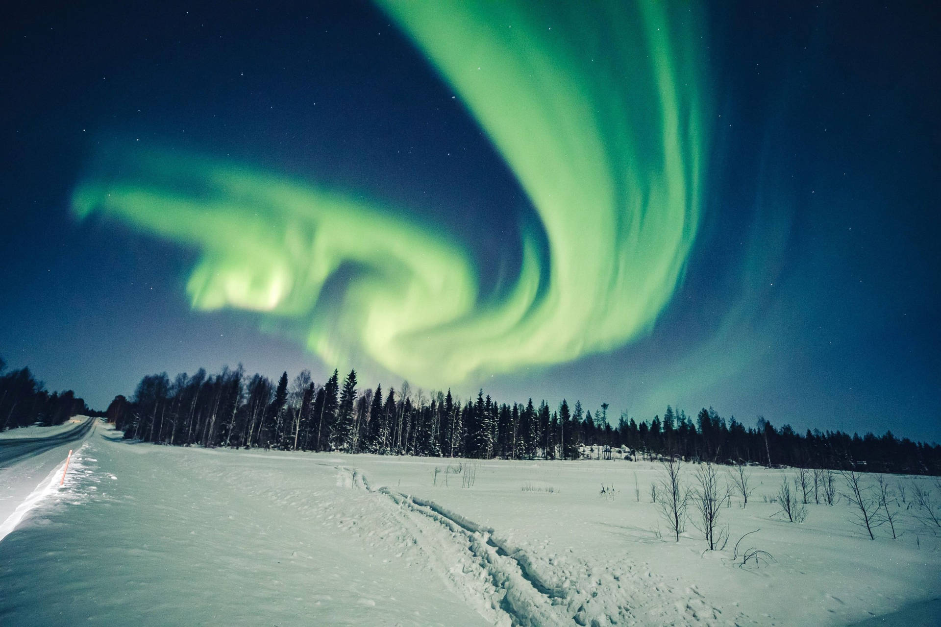 Winter Season Aurora Borealis Background