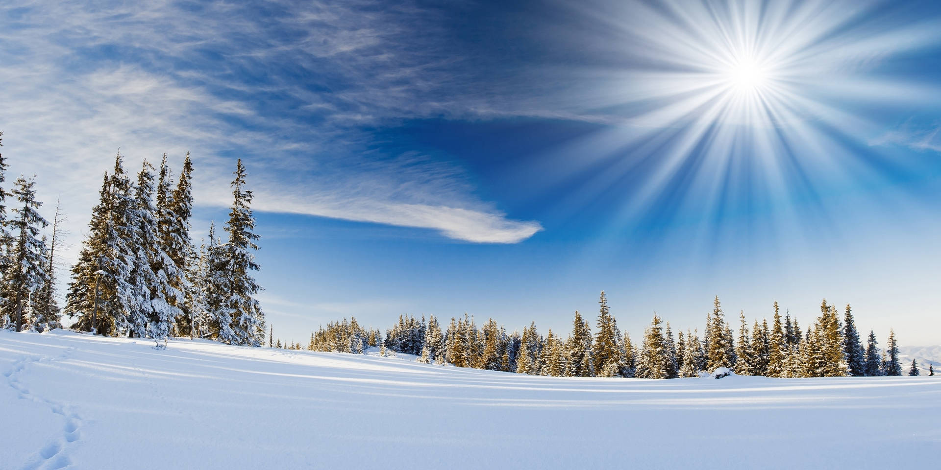 Winter Season Bright Sun Background