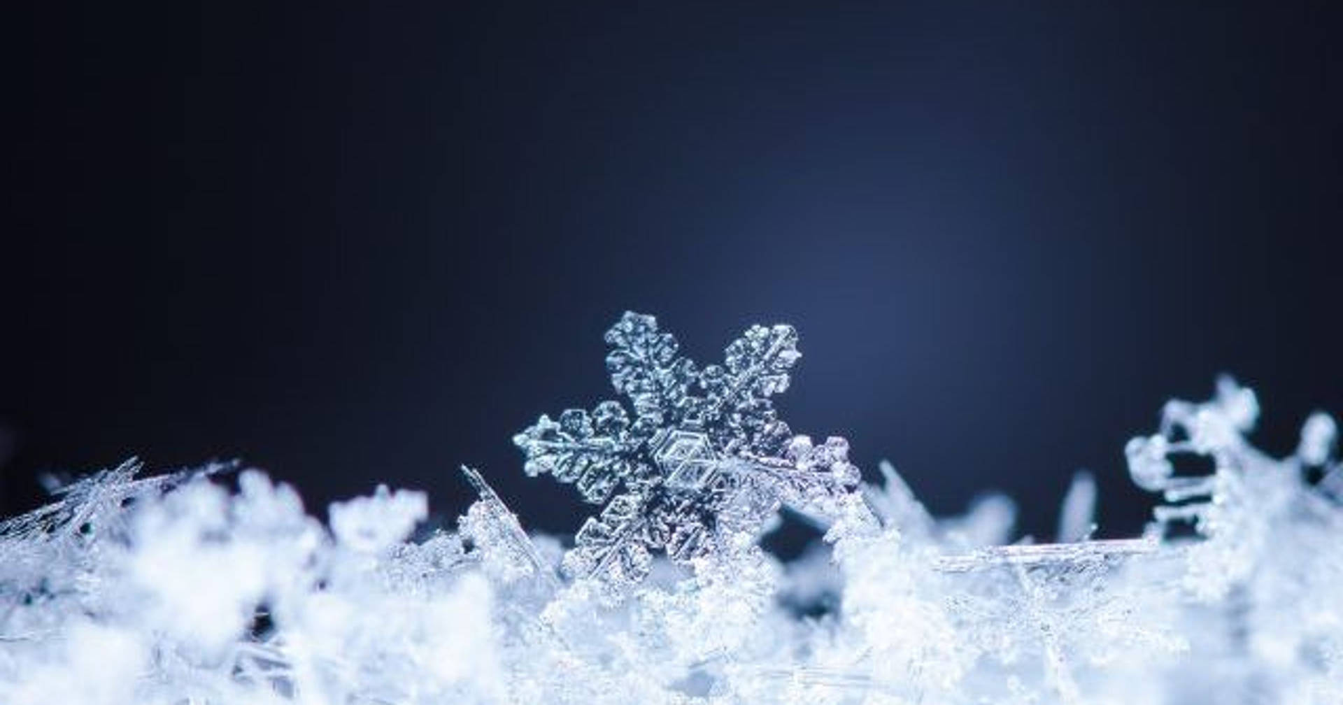 Winter Season Clear Snowflake Background