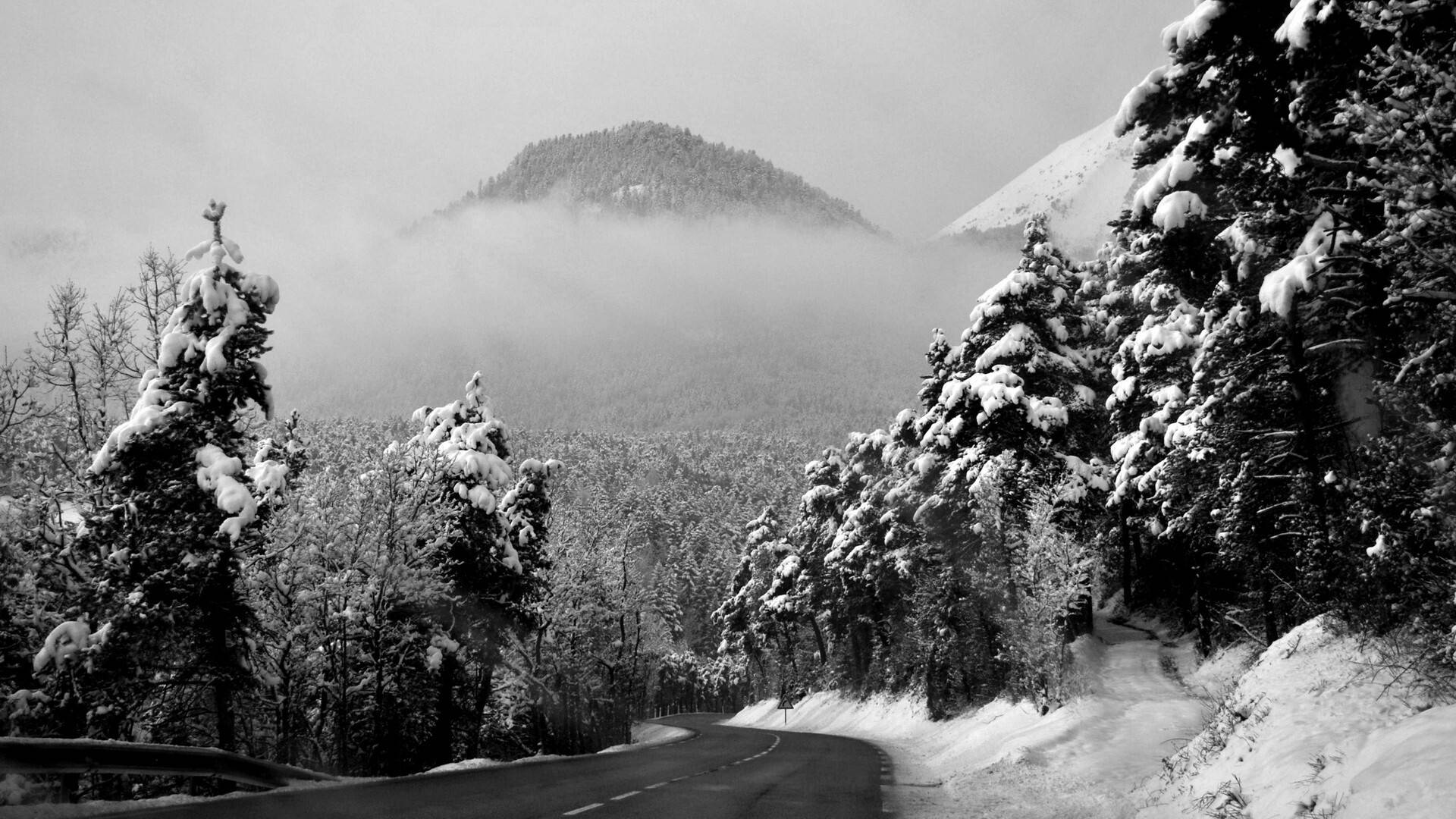 Winter Season Foggy Mountain