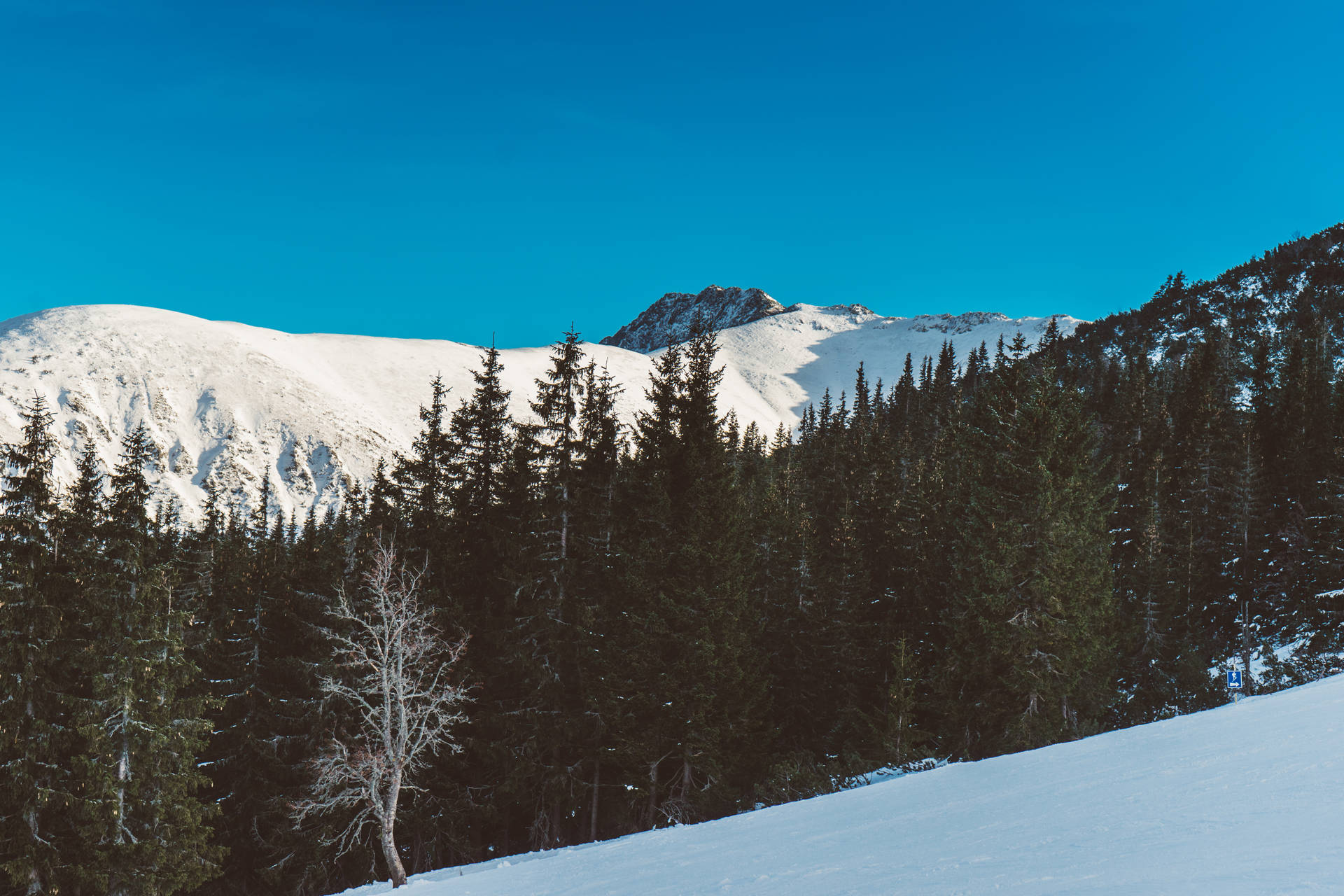 Winter Season In Slovakia Background