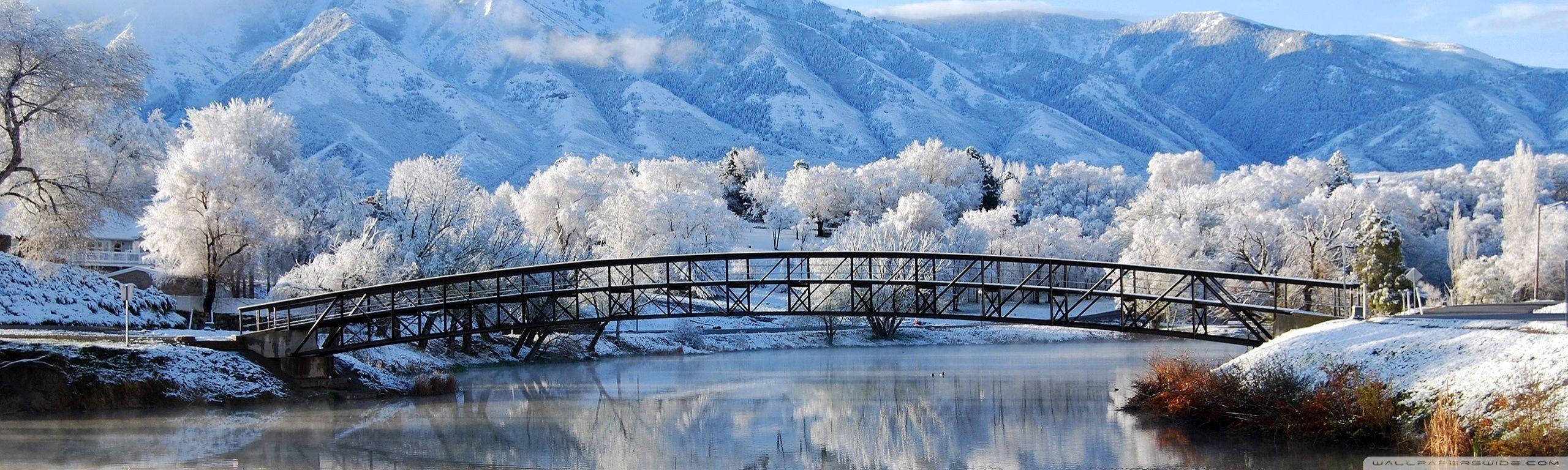 Winter Season Long Bridge Background