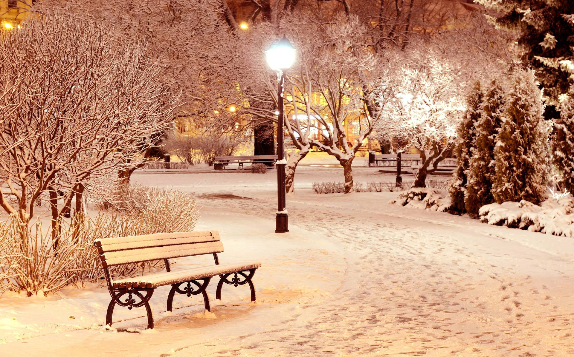Winter Season Park Bench