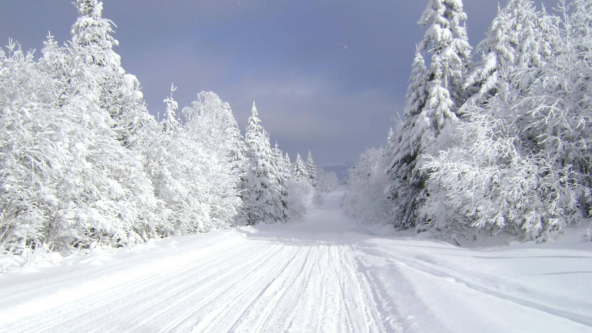 Winter Season Pathway