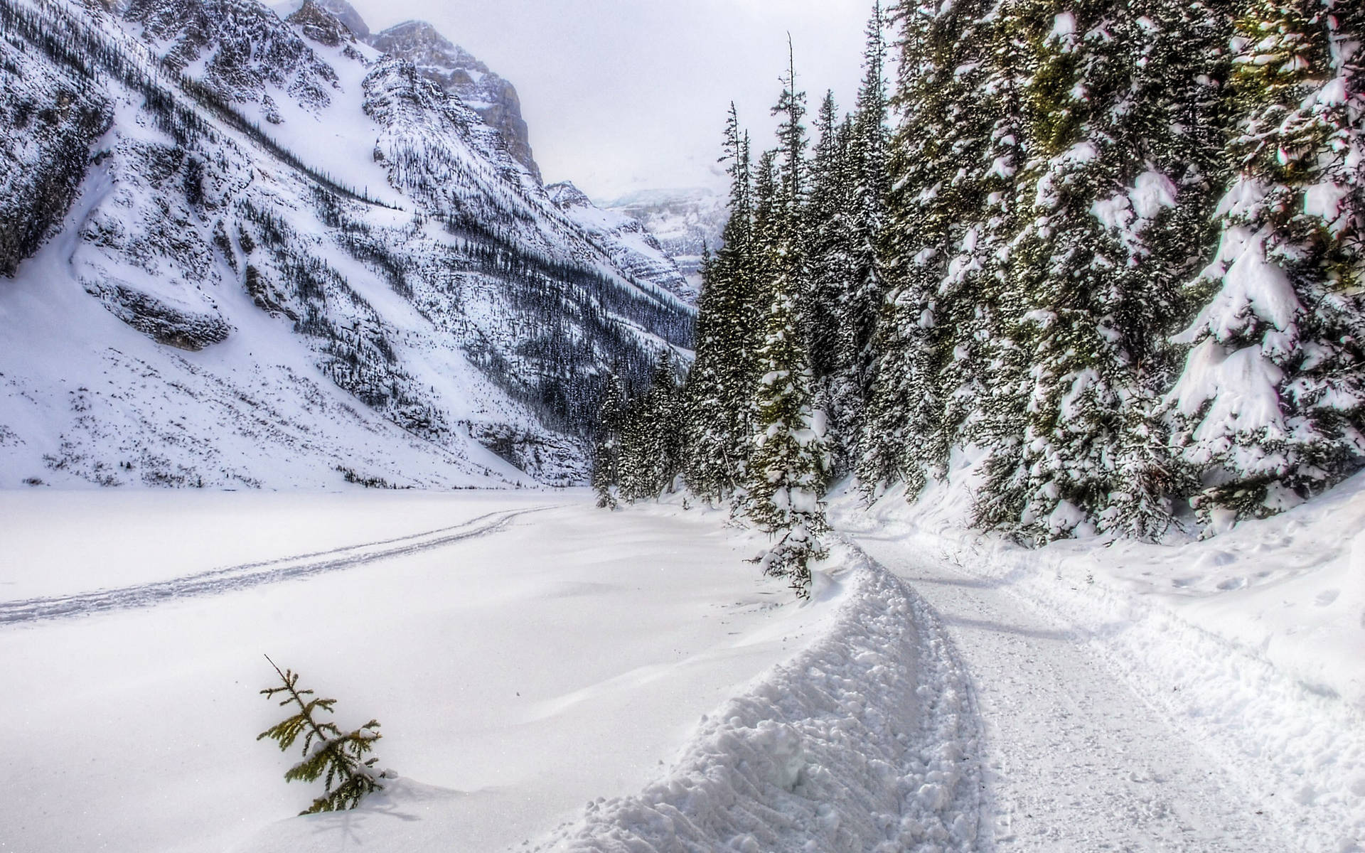 Winter Season Rocky Mountain Background