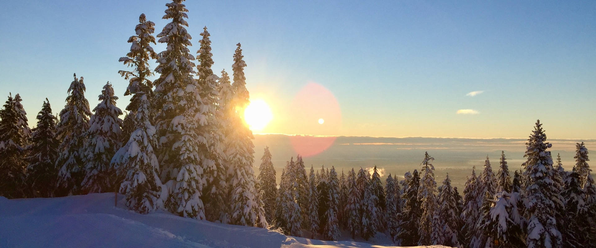 Winter Season Sun Glimpse Background