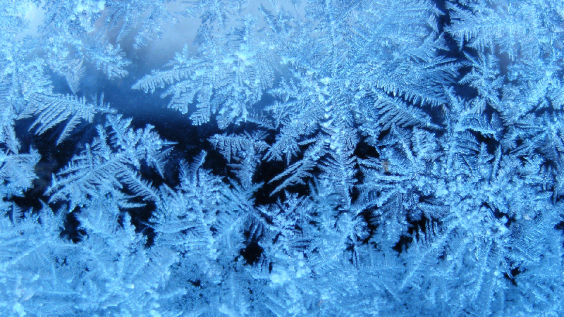 Winter Season Window Snowflakes