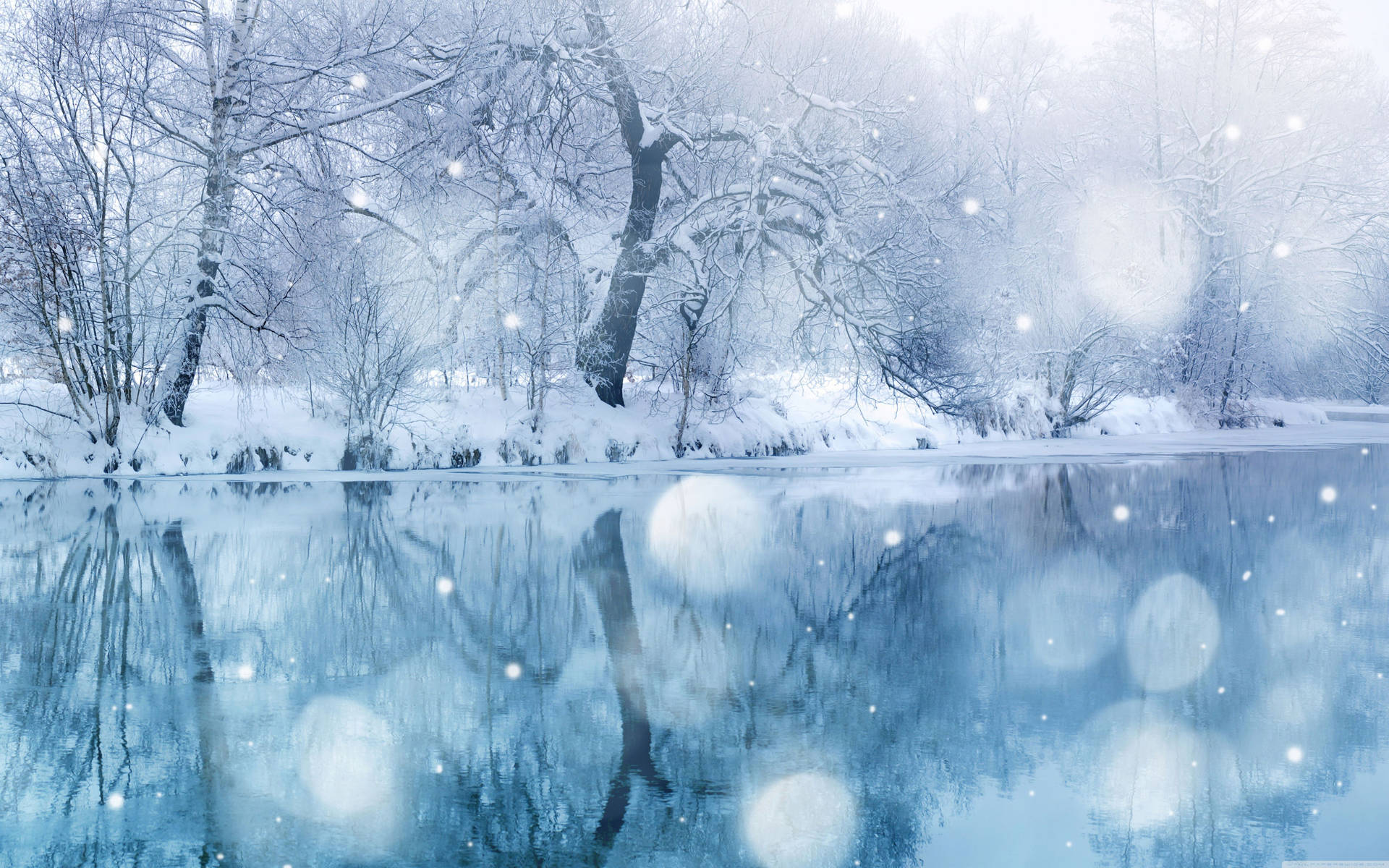 Winter Snowy Trees And Water Background