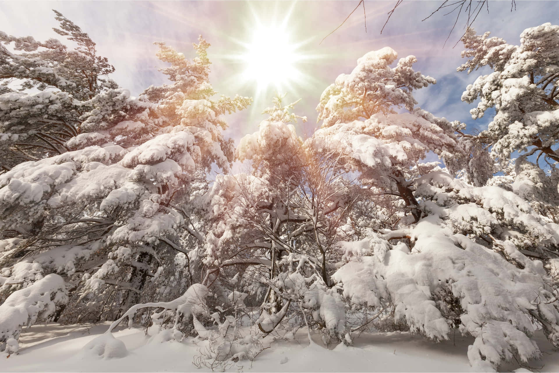Winter Solstice Backgrounds