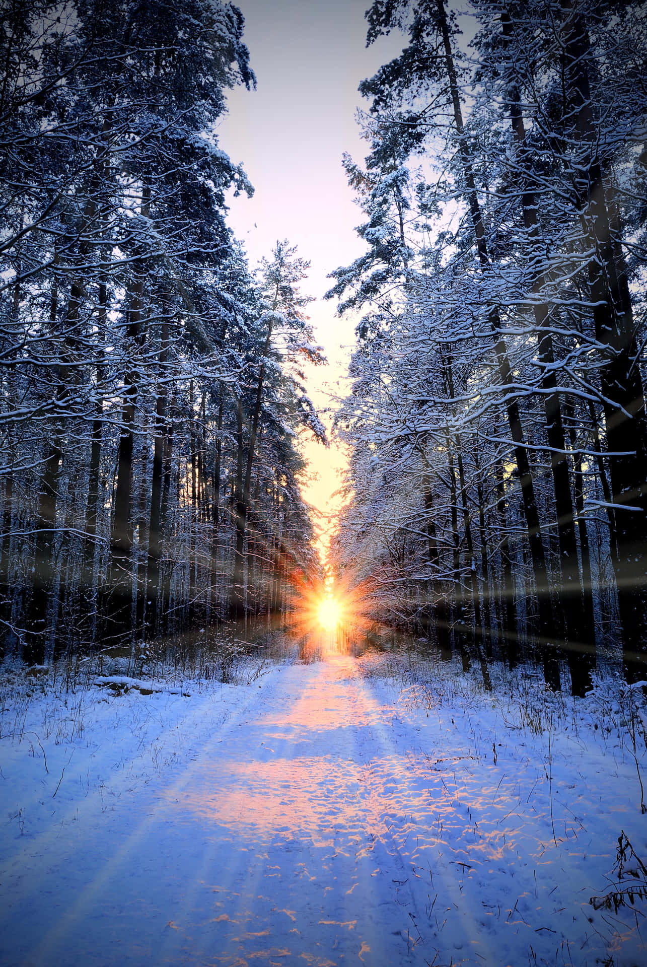 Winter Solstice Magic