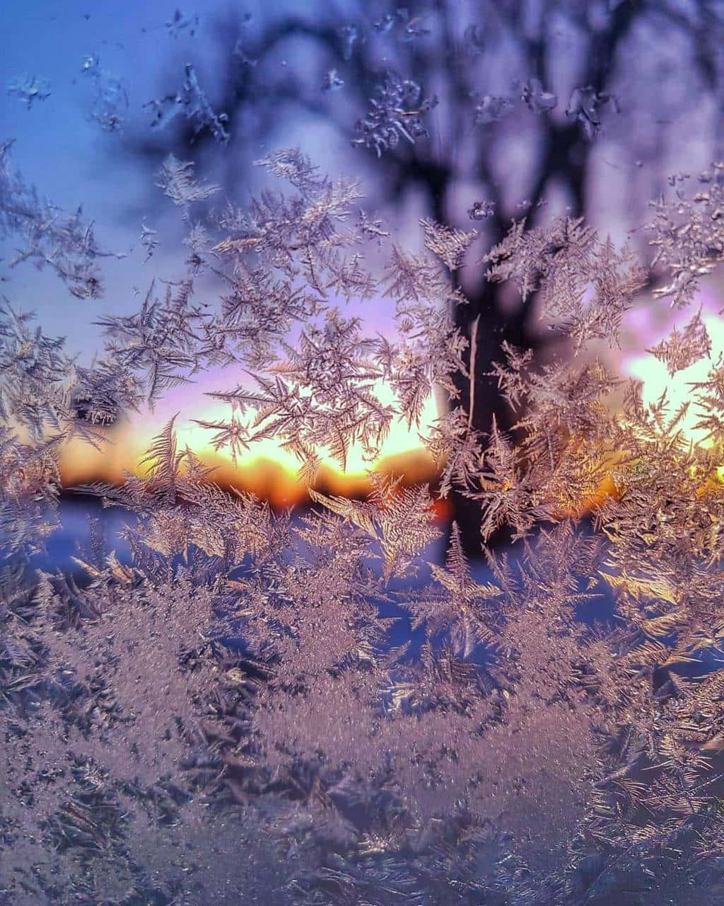 Winter Solstice Magic Background